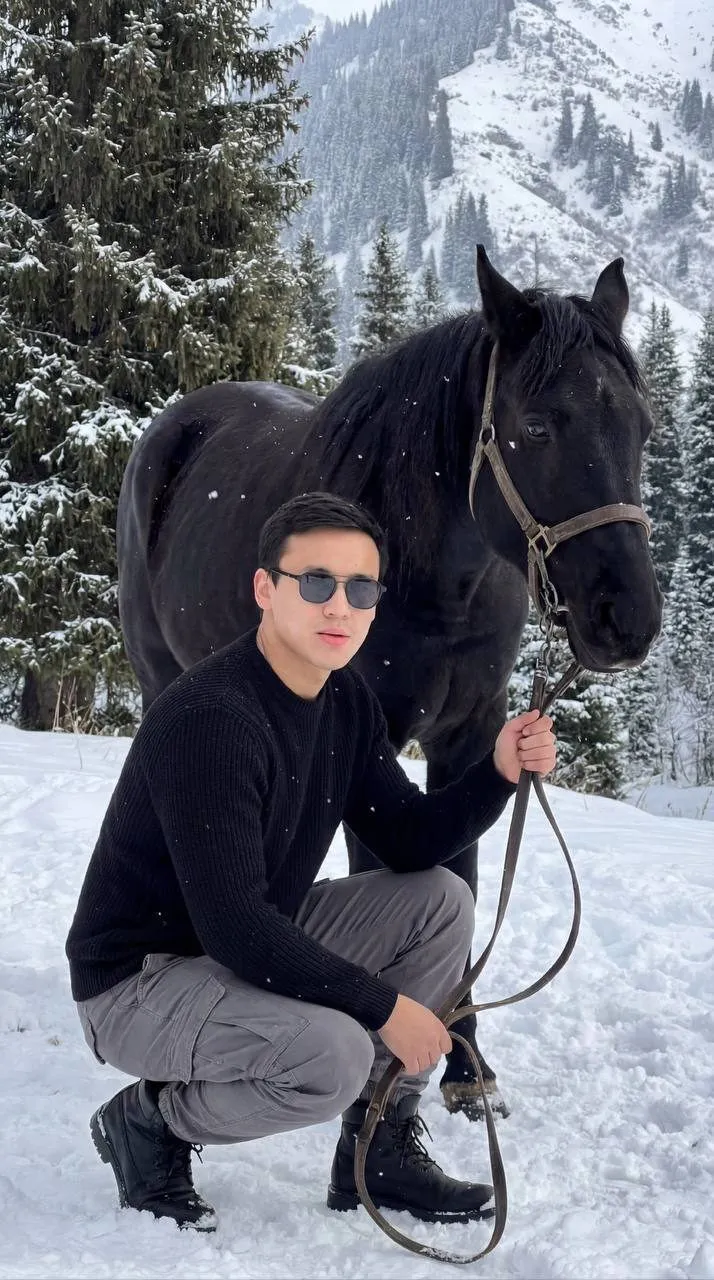 Black Horse Snowy Landscape
