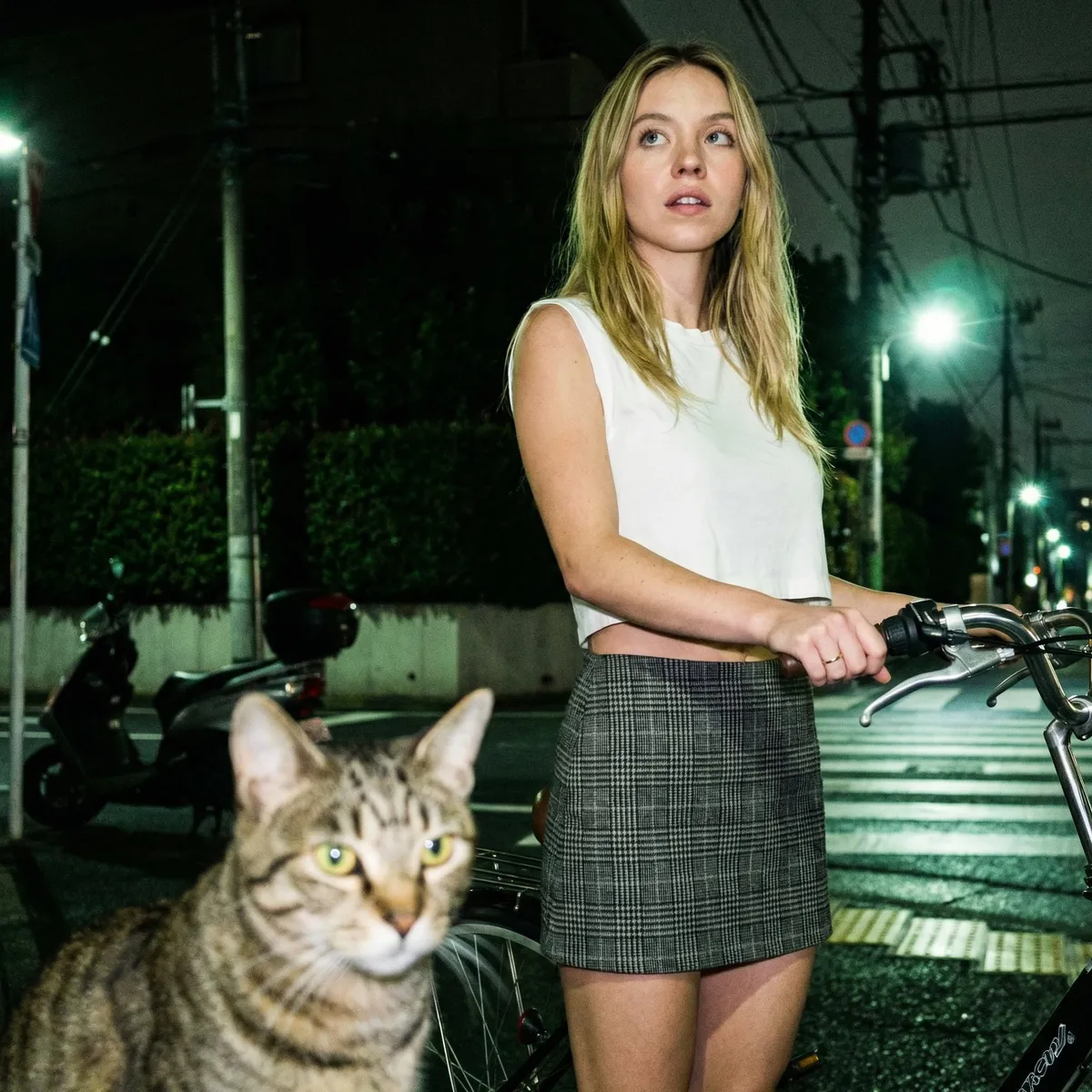 Woman Bicycle City Street Night Cat