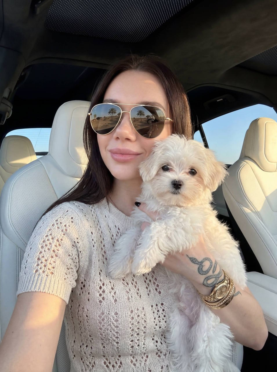 A woman with long black hair and a small white fluffy dog in a luxury car during golden hour, showcasing aviator sunglasses reflecting palm trees.