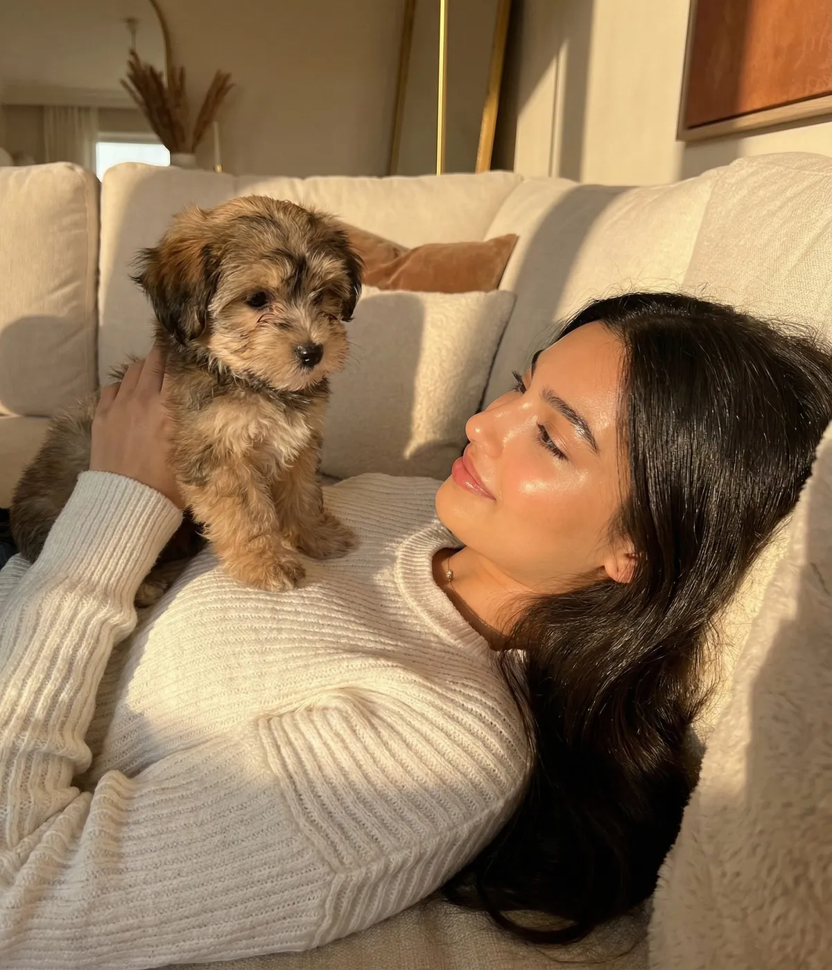 Golden Hour Dog Portrait