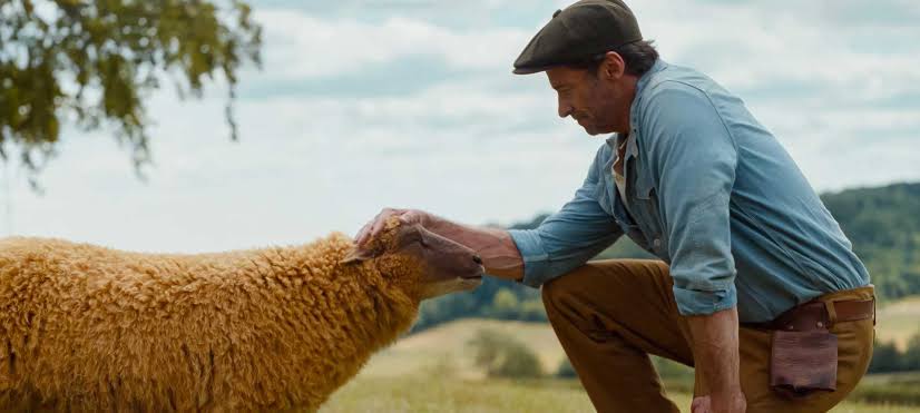 Dark Brown Flat Cap In Grassy
