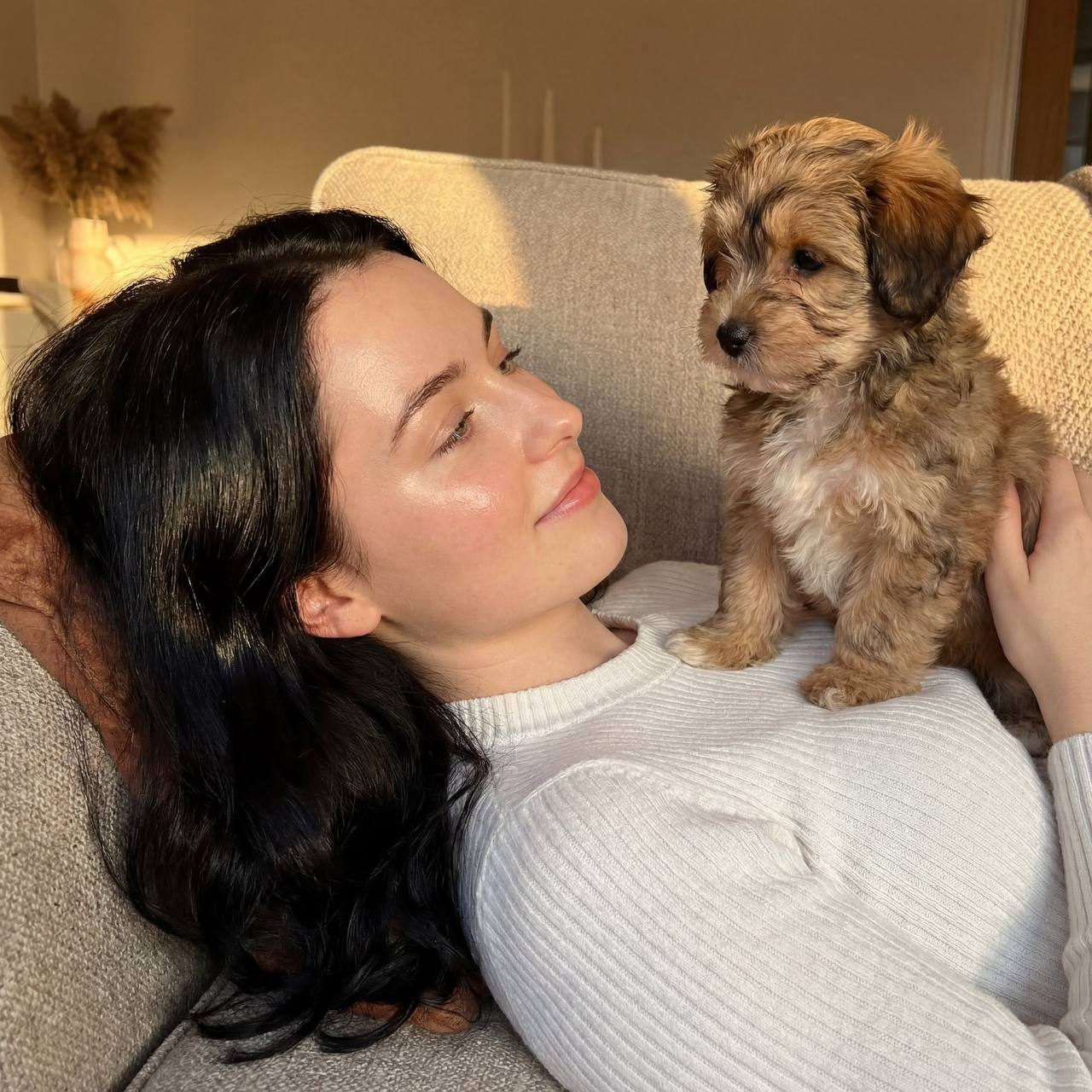 Close-up photo of a woman with shiny hair smiling at a small puppy on her ruffled sweater in a cozy bright room during golden hour.