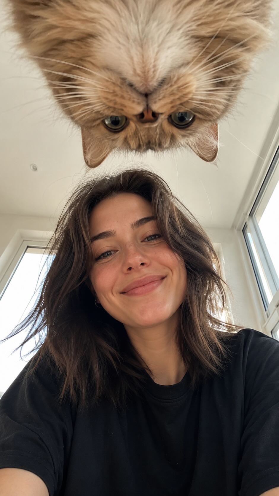 Cat Selfie Bright Sunlit Room