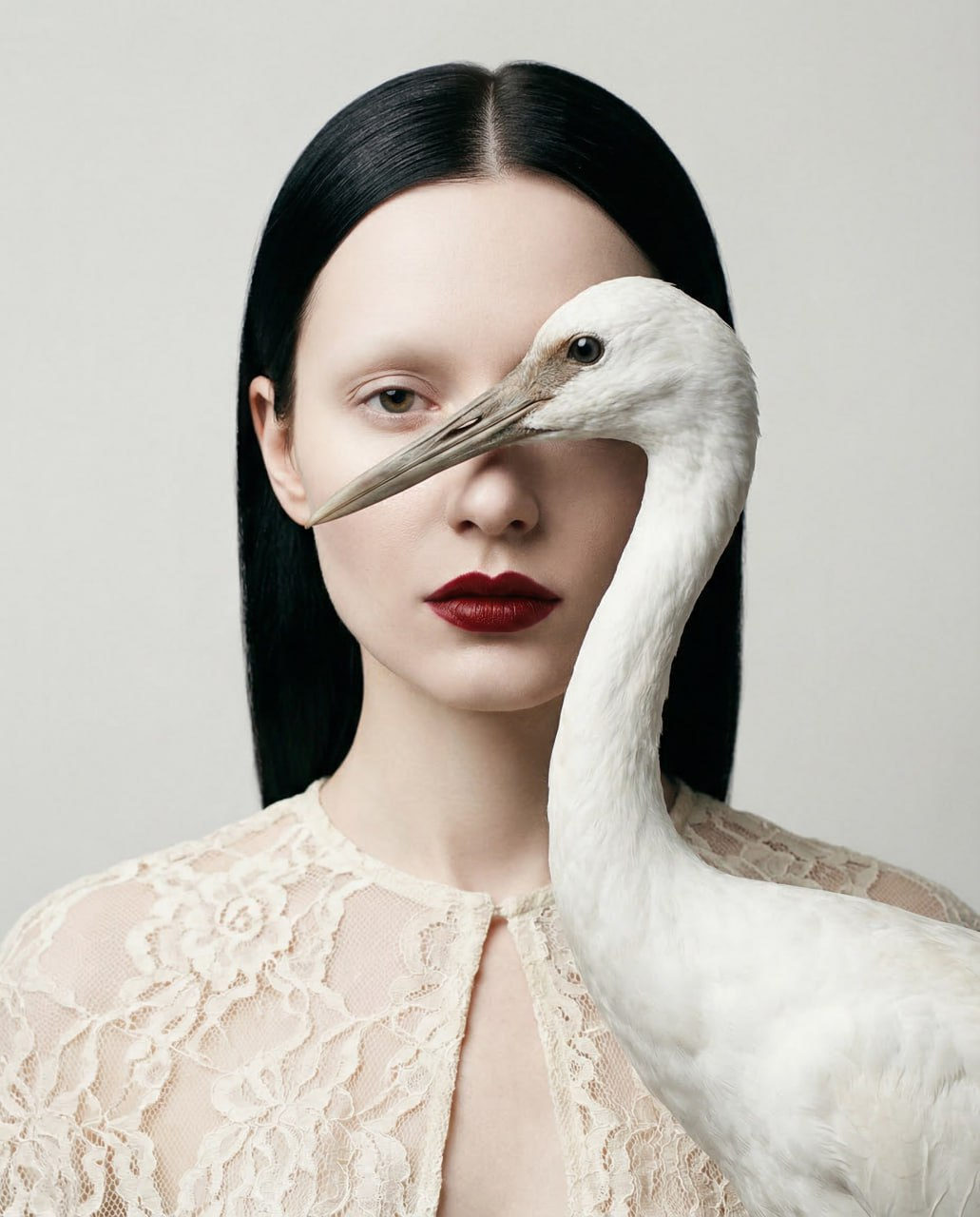 A surreal portrait of a woman with porcelain skin, a white crane obscuring one eye and delicate lace cape against a black background.