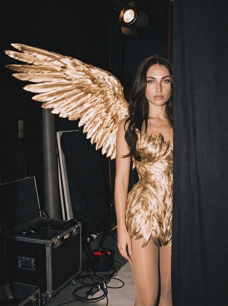 Golden Wings Studio Light Overhead