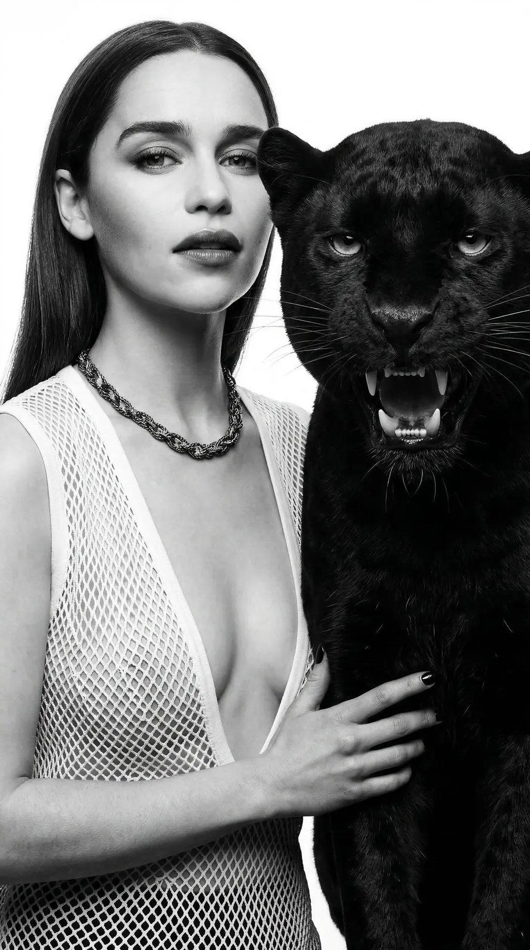 Touching Panther Black White Studio Lighting