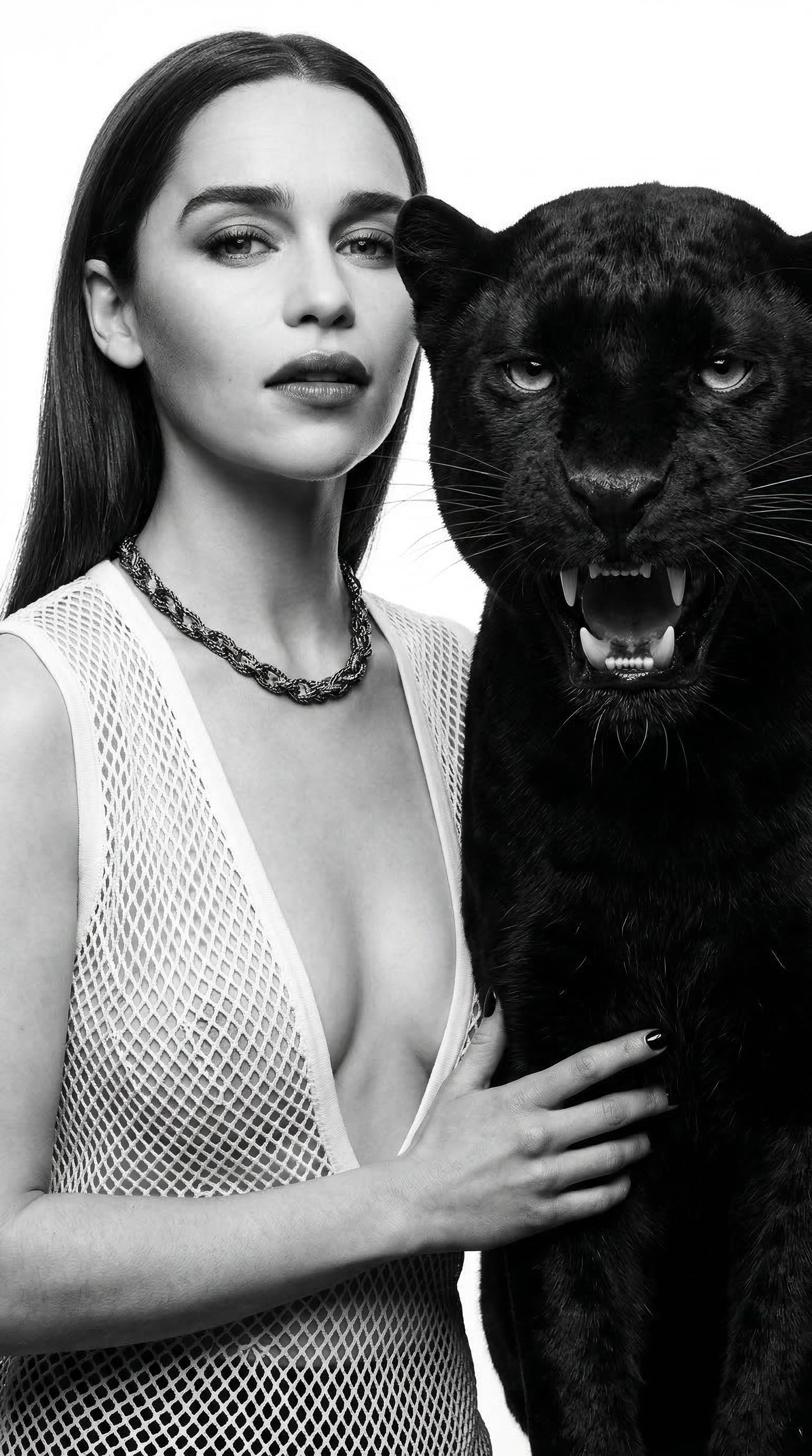 Touching Panther Black White Studio Lighting