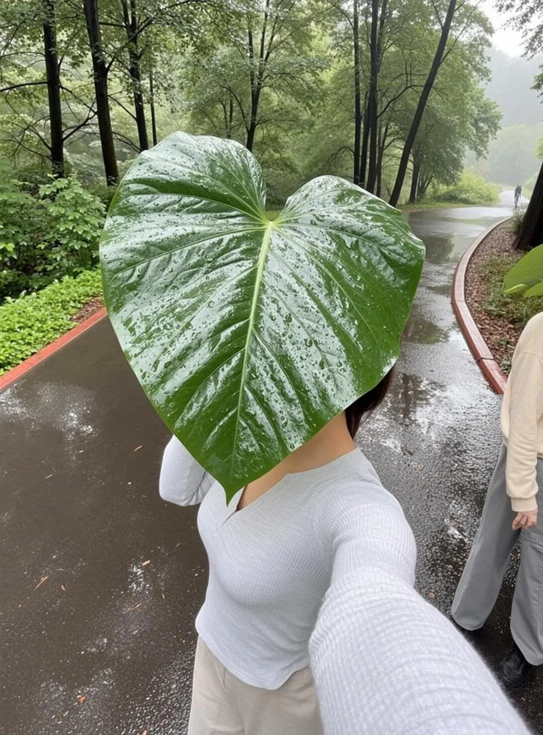 Explore Holding Large Heart-shaped Green Leaf Water